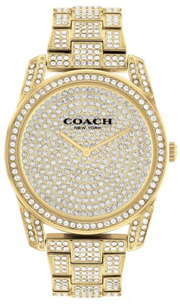 COACH 14503870