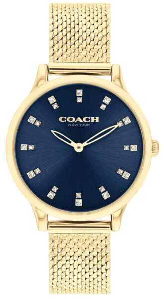COACH 14504218