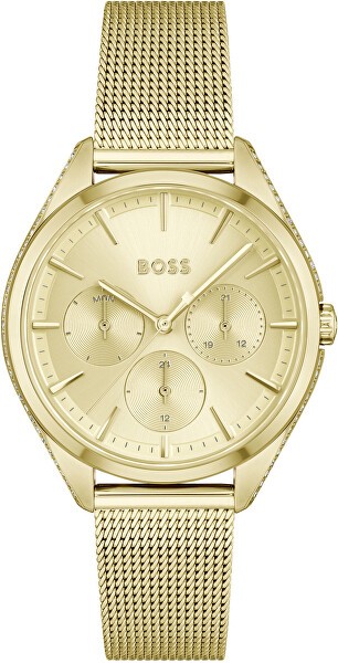 Hugo Boss HB1502703
