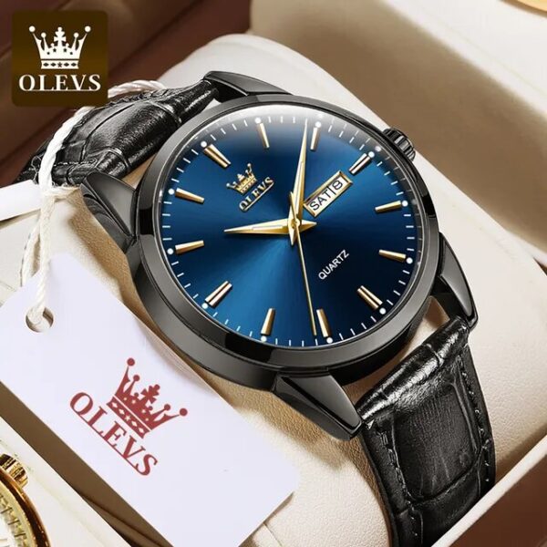 Olevs 6898