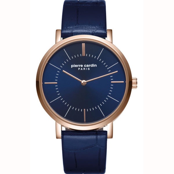 Pierre Cardin PC902621F04