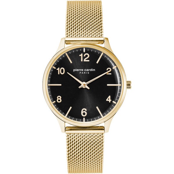Pierre Cardin PC902722F106