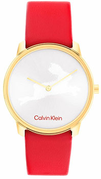 Calvin klein 25200219