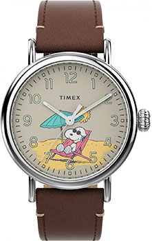 Timex TW2V61200